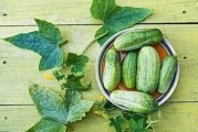 每日吃瓜汇总